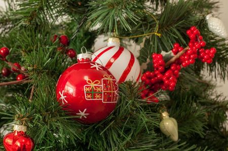 pexels-rainereckphotography-35312553 (1)