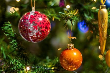 pexels-strannik-sk-35153908