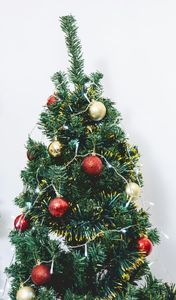 pexels-magaly-taboada-1529426891-35036723