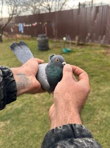 BEBF27E7-597B-4992-8D33-4DCB6E3F2B27