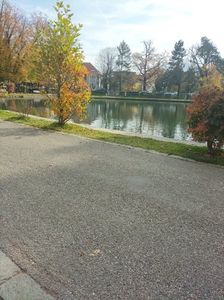 Imagine WhatsApp 2025-11-03 la 11.55.31_22ab257d