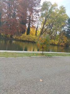 Imagine WhatsApp 2025-11-03 la 11.56.21_7d342076