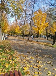 Imagine WhatsApp 2025-11-03 la 12.47.58_78c70a61