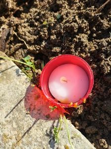 Imagine WhatsApp 2025-10-30 la 15.53.23_8929ed82