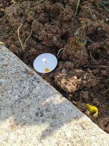 Imagine WhatsApp 2025-10-30 la 15.53.23_c4971af9