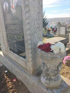 Imagine WhatsApp 2025-10-30 la 15.53.24_6bad9348