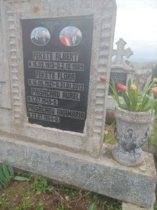 Imagine WhatsApp 2025-04-12 la 16.21.38_a8e29017