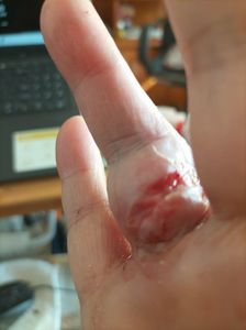 Imagine WhatsApp 2025-10-09 la 11.57.44_270129a1