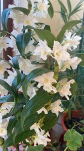 9cb97f05-ac8a-4795-9b43-411dbb701b69