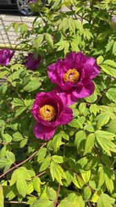 ae404af6-3797-4d09-8f25-afb5478c1df6