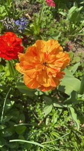 8879c749-7125-4815-9df8-1215968e8d51