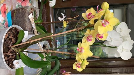 A569461D-B5A4-40A6-872A-2AFF52693E56