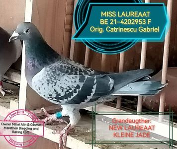 MISS LAUREAAT 1