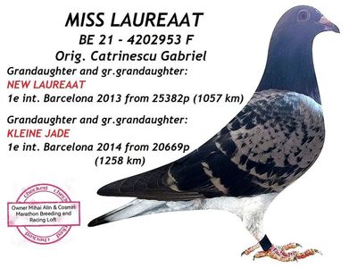 MISS LAUREAAT 3