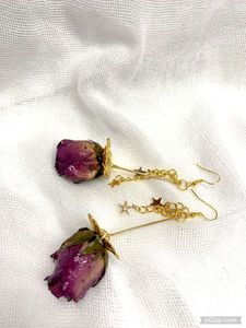 70mm-25mm diam trandafiri