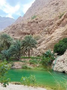 347fd83b-58cb-42c7-97c7-dd9bc7824201