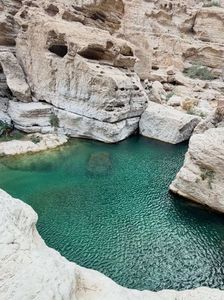 aea0b73e-d8e3-430a-965f-62037acd8c9f