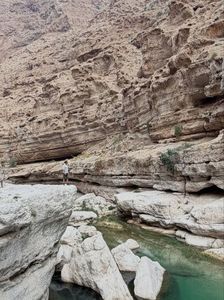 c36a59e2-2142-4be0-896c-57880535eee8