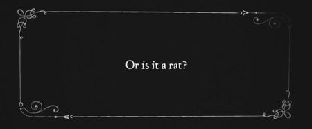 ♫ can you live here anymore? ♫