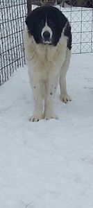 Screenshot_20260108_085803_Gallery