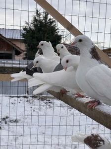 75A91DBE-EF9E-4183-A597-6F5B262FF542