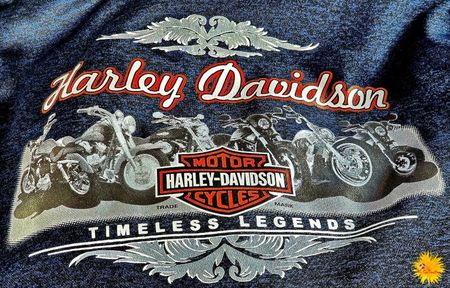 Harley Davidson jacket