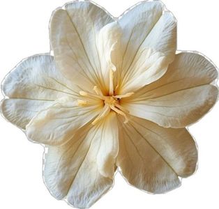 64fe1019a8aefb70fe8b6a0135ca62f0