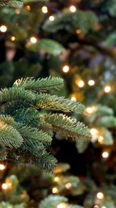 21c00114eb610242ad689d1b97bd3bd1