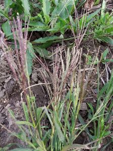 abb1d5d3-1bff-46db-a8bd-e84d4a4aae6c-1_all_1668