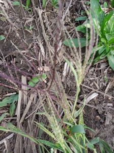 abb1d5d3-1bff-46db-a8bd-e84d4a4aae6c-1_all_1670