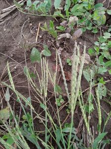 abb1d5d3-1bff-46db-a8bd-e84d4a4aae6c-1_all_1635