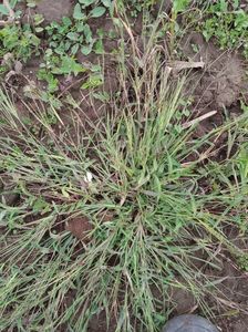 abb1d5d3-1bff-46db-a8bd-e84d4a4aae6c-1_all_1636