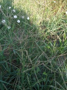 abb1d5d3-1bff-46db-a8bd-e84d4a4aae6c-1_all_1419