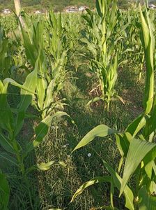 abb1d5d3-1bff-46db-a8bd-e84d4a4aae6c-1_all_1422