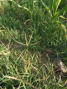 abb1d5d3-1bff-46db-a8bd-e84d4a4aae6c-1_all_1424