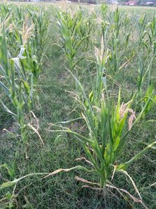 abb1d5d3-1bff-46db-a8bd-e84d4a4aae6c-1_all_1430