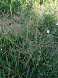 abb1d5d3-1bff-46db-a8bd-e84d4a4aae6c-1_all_1418