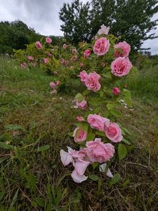 PXL_20250526_120507521