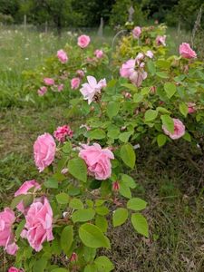 PXL_20250526_120531019