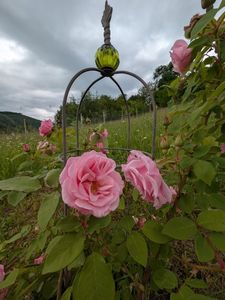 PXL_20250526_120553472