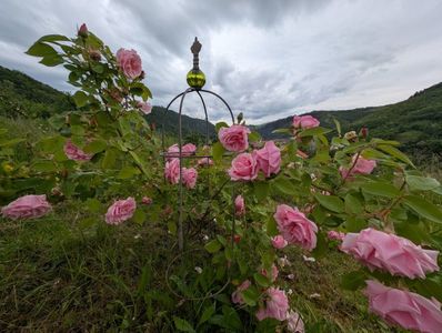 PXL_20250526_120617578