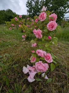 PXL_20250526_120647189