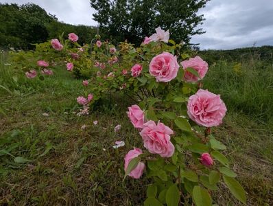 PXL_20250526_120655473