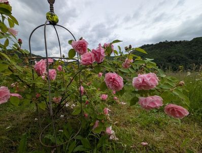 PXL_20250526_121609081