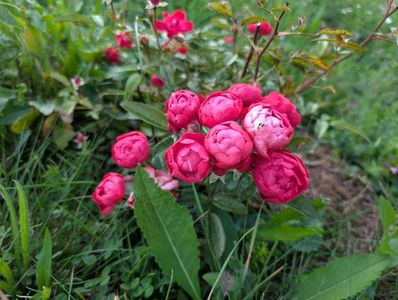 PXL_20250902_161607390