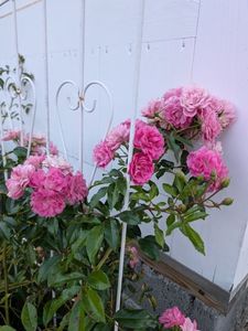 PXL_20250923_151707321