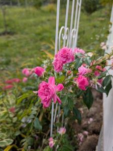 PXL_20251010_101632642