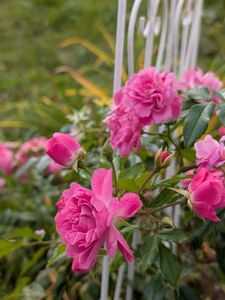 PXL_20251010_101644576