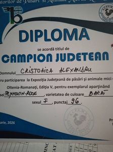 ; https://light.sunphoto.ro/photos/thumb/117453987_QEWODOU3.jpg
