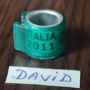 2011-Italia